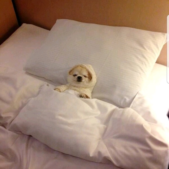 Meet your Posher, Fernanda - Picture 1 of 1